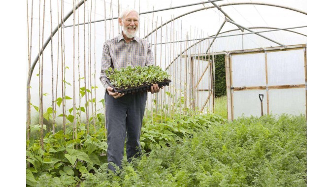 Organic Greenhouse